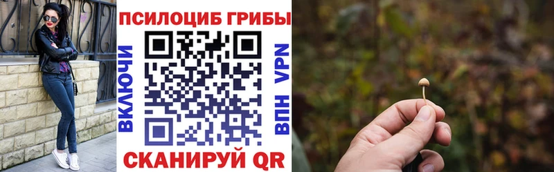 Галлюциногенные грибы прущие грибы OMG вход сайты даркнета официальный сайт Харовск